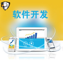 軟件外包服務全解析 報價、收費模式與九品制服務分級